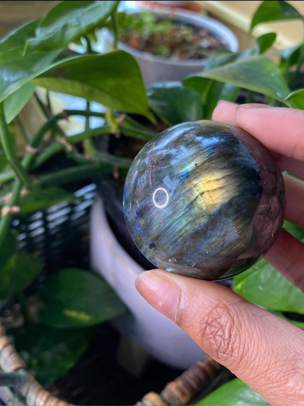 Small Labradorite Crystal Sphere — Iridescent Flash